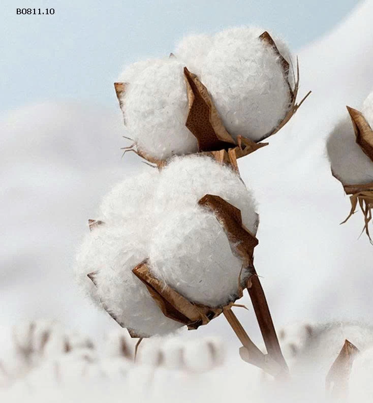 BODY CHO BÉ YÊU -Giá sỉ 135k