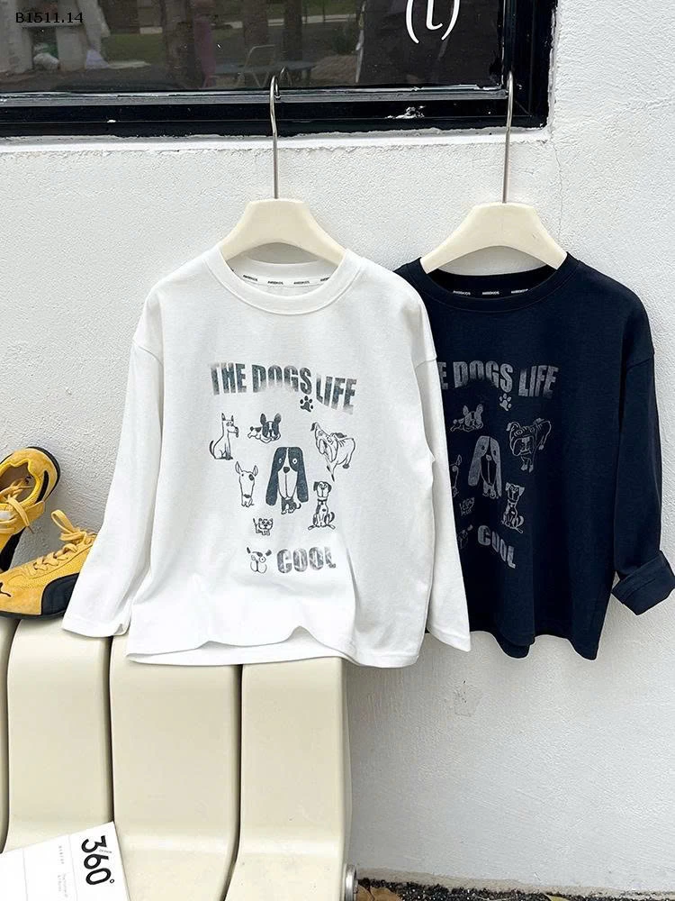 ÁO THUN DÀI TAY AMBB4-Giá sỉ size 90-150 : 134k sz 160 : 144k sz 170 : 155k