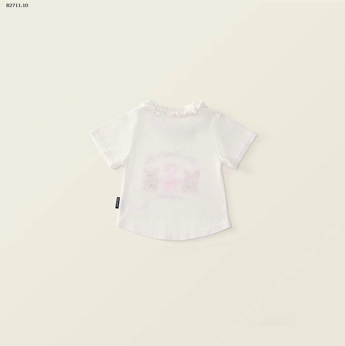 ÁO THUN  PREMIUM DỄ THƯƠNG - sỉ 88k