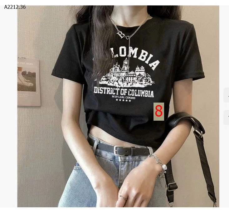 ÁO PHÔNG CROPTOP-Giá sỉ 105k