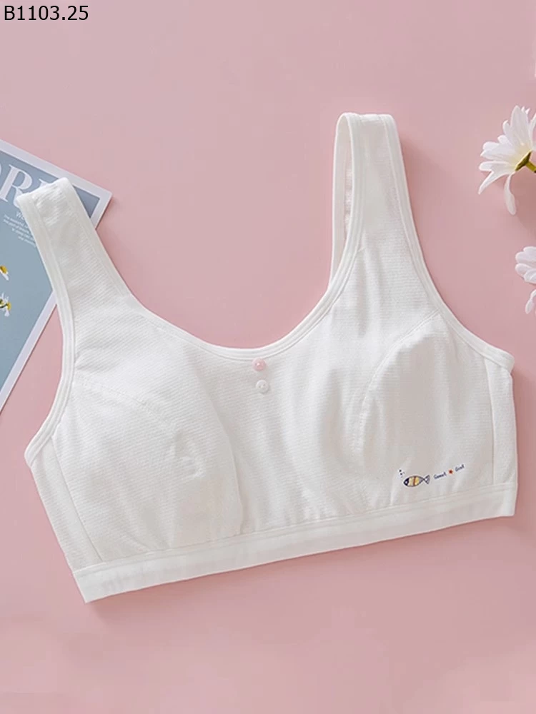 BRA COTTON KHÔNG ĐỆM BÉ GÁI sỉ 150k/set 3c mix
