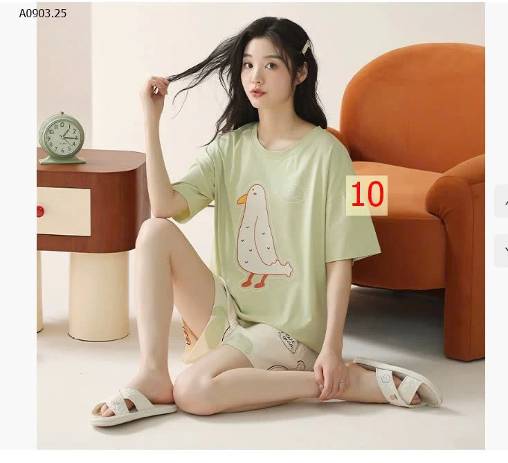 BỘ COTTON NỮ - sỉ 169k