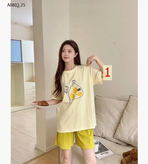 BỘ CỘC TRÁI CÂY MÙA HÈ- sỉ 191k