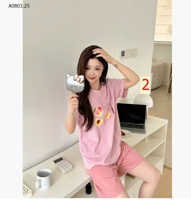 BỘ CỘC TRÁI CÂY MÙA HÈ- sỉ 191k