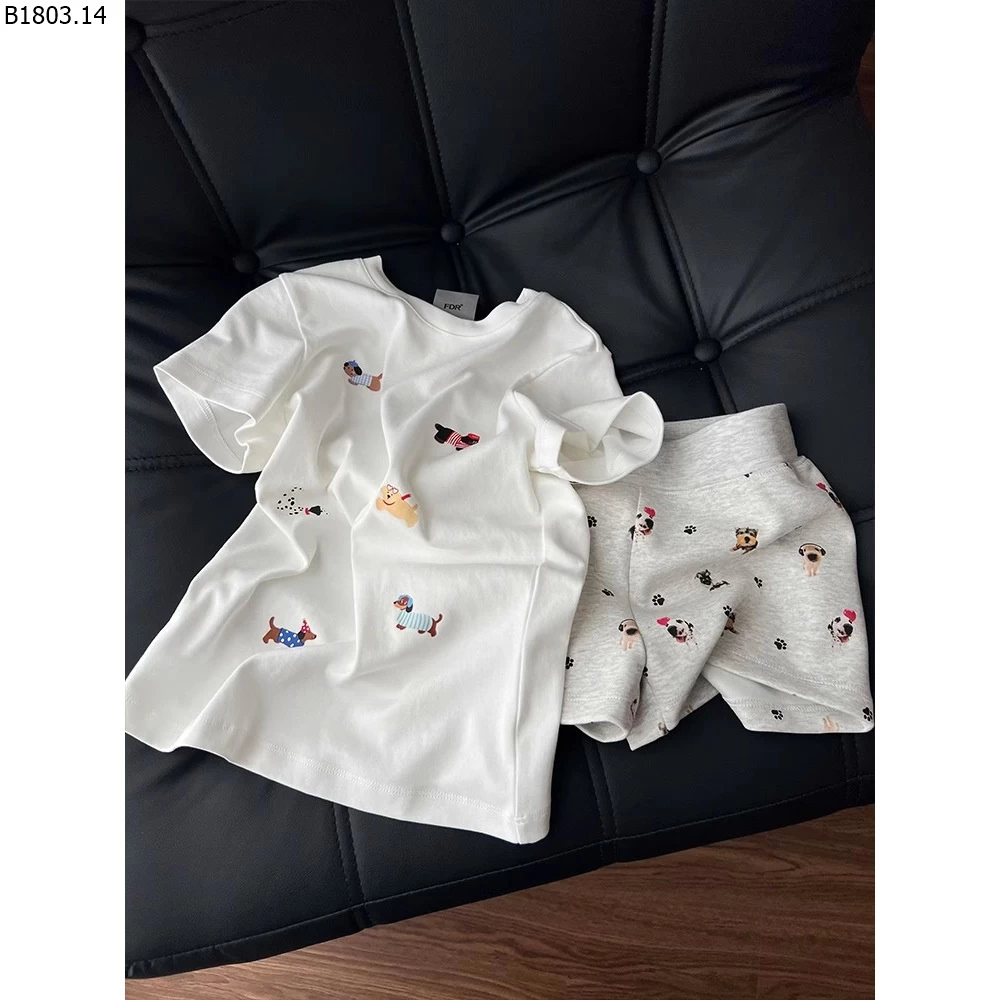 Bộ đồ ngủ nữ mùa hè mỏng nhẹ gồm quần short và áo tay ngắn giá sỉ 159k