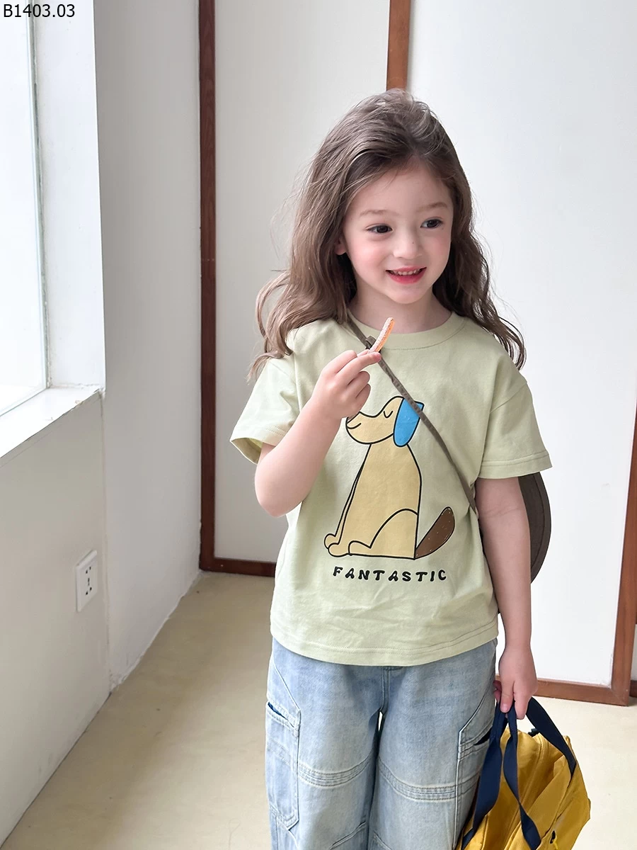 ÁO PHÔNG AMBB BÉ GÁI Giá sỉ size 90-150 : 107k Size 160 : 115k size 170 : 125k